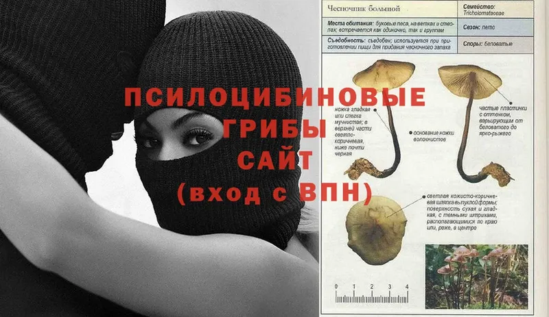 Галлюциногенные грибы мухоморы  мориарти клад  Урюпинск 